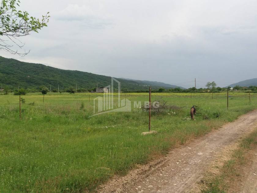 Продается Дачные Земля, в Арагвиспири