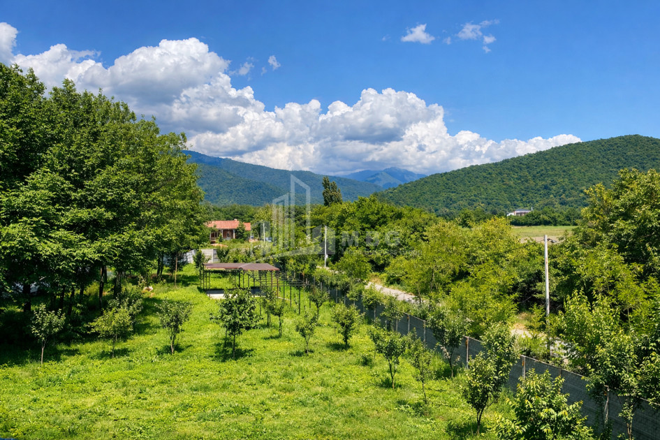 Business for sale Commercial Telavi Kakheti