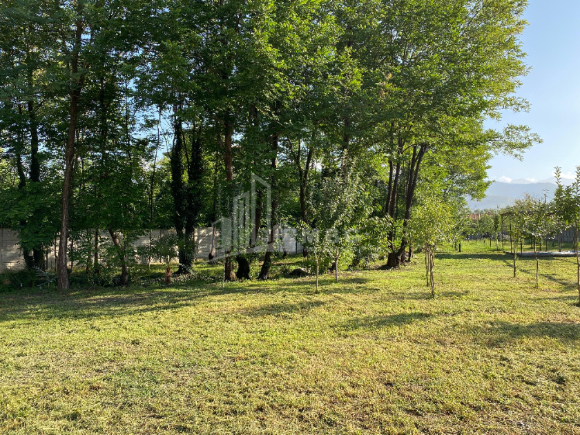 იყიდება ბიზნესი კომერციული ფართი თელავი კახეთი