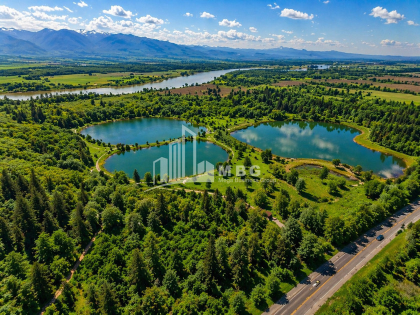 იყიდება კომერციული - არასასოფლო მიწის ნაკვეთი კახეთში