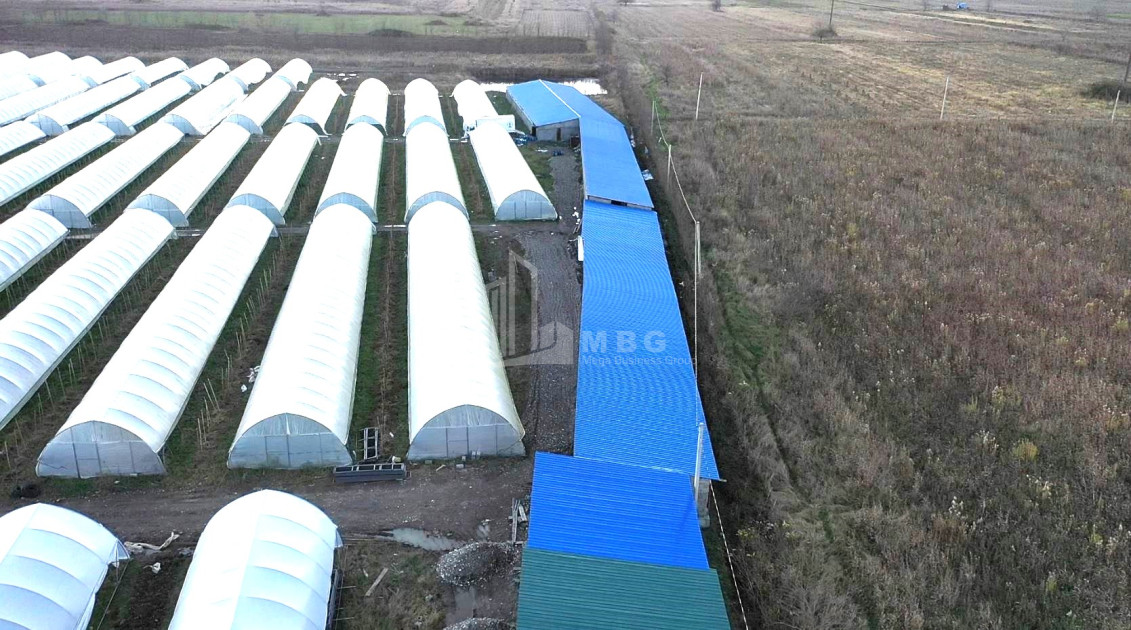 For Sale Land Vani Imereti