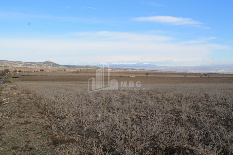 For Sale Orchards Land, in Kvemo Teleti