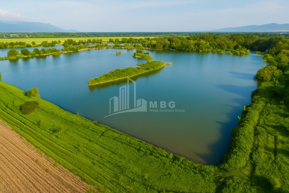 Продается Земля Квемо Алвани Ахмета Кахети