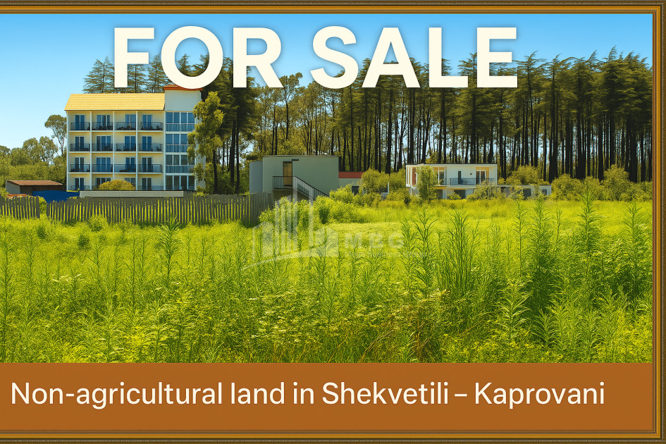 For Sale Land Daba Shekvetili Ozurgeti Municipalities of Guria
