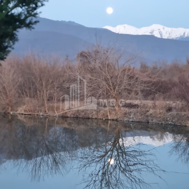 იყიდება მიწის ნაკვეთი ნაფარეული თელავი კახეთი