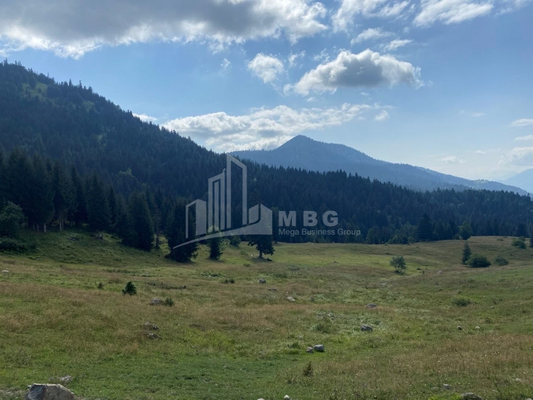 For Sale Country Land, in Dioknisi