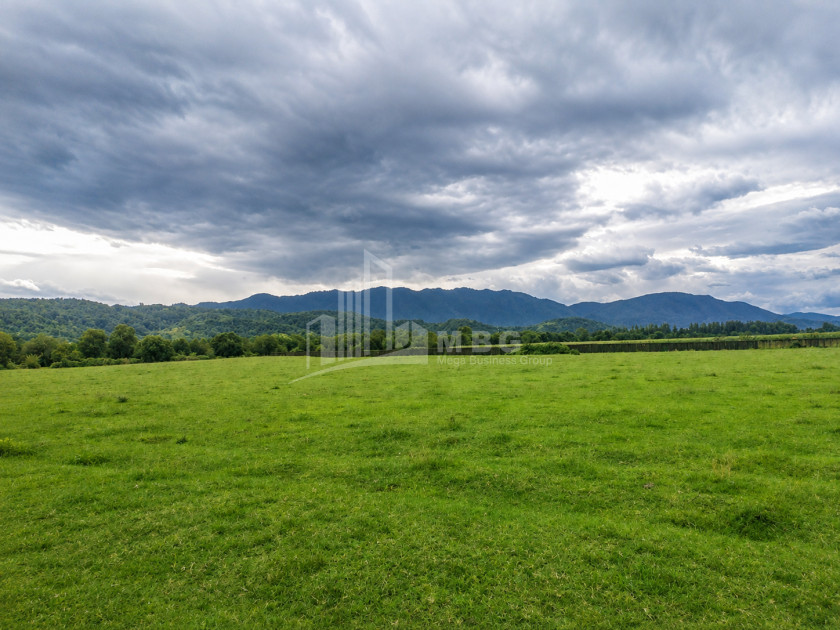 For Sale Orchards Land In Abasha
