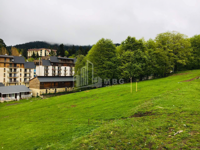 For Sale House - Villa, in Bakuriani