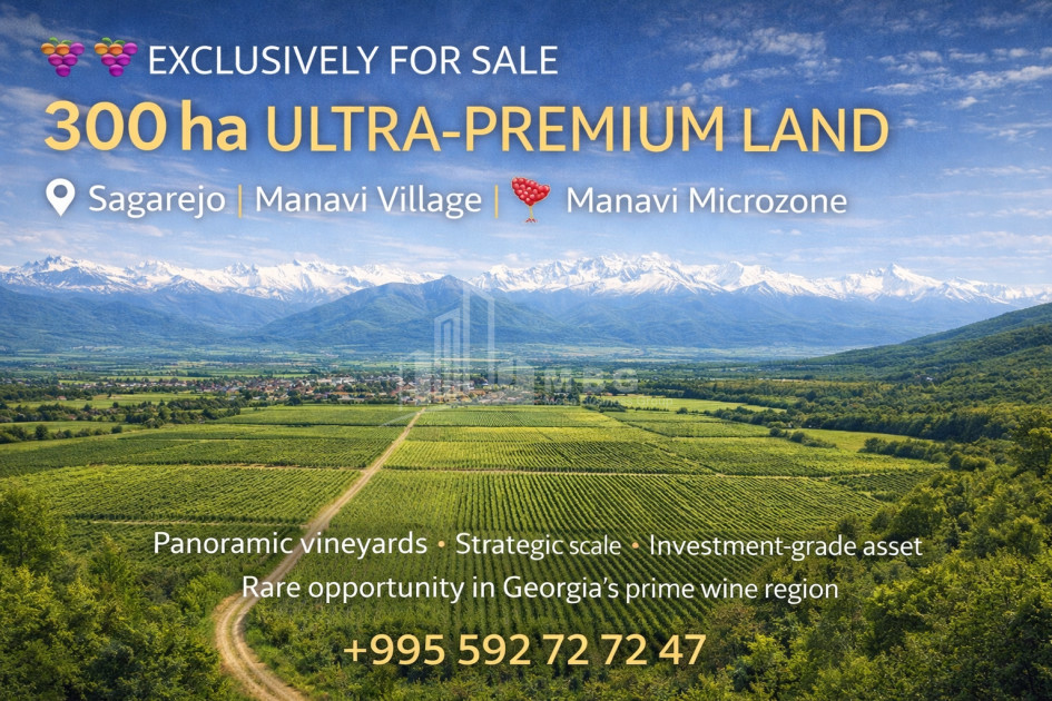For Sale Vineyard - Chateau Land, in Manavi