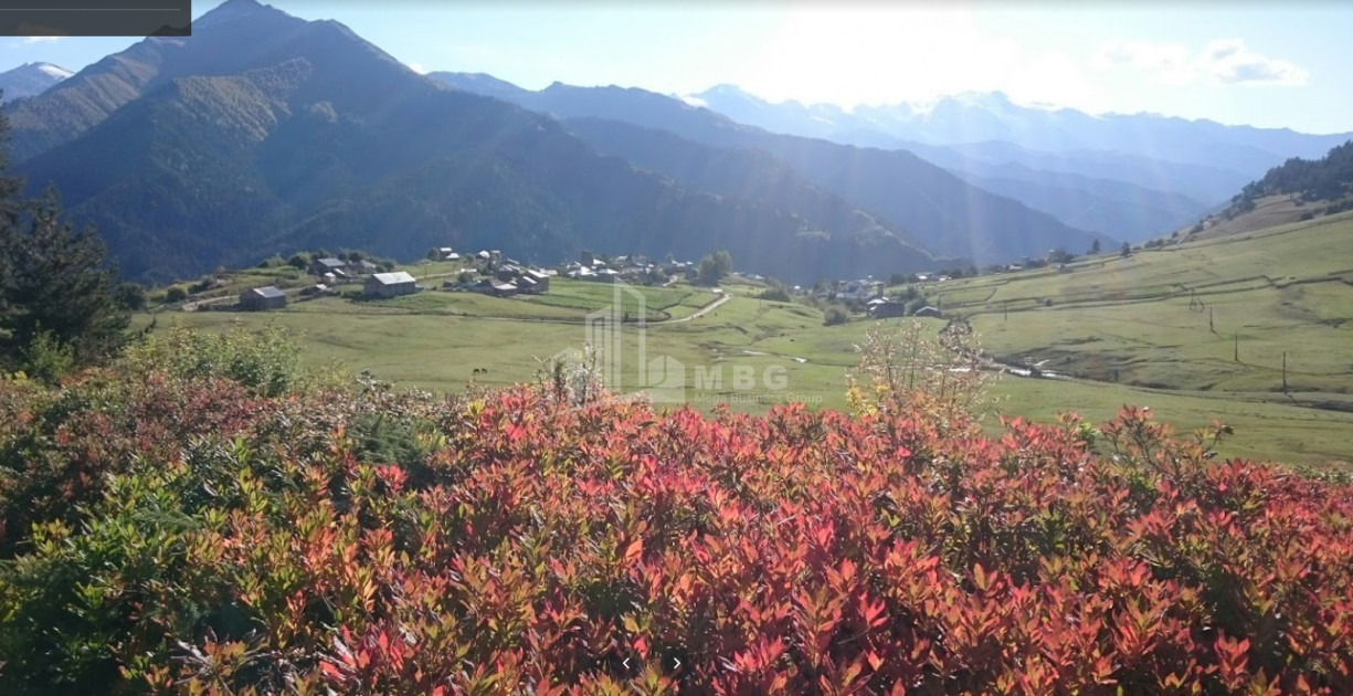 იყიდება სააგარაკე მიწის ნაკვეთი, წვირმი