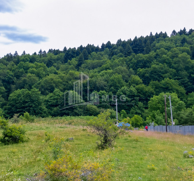 For Sale Country Land In Racha