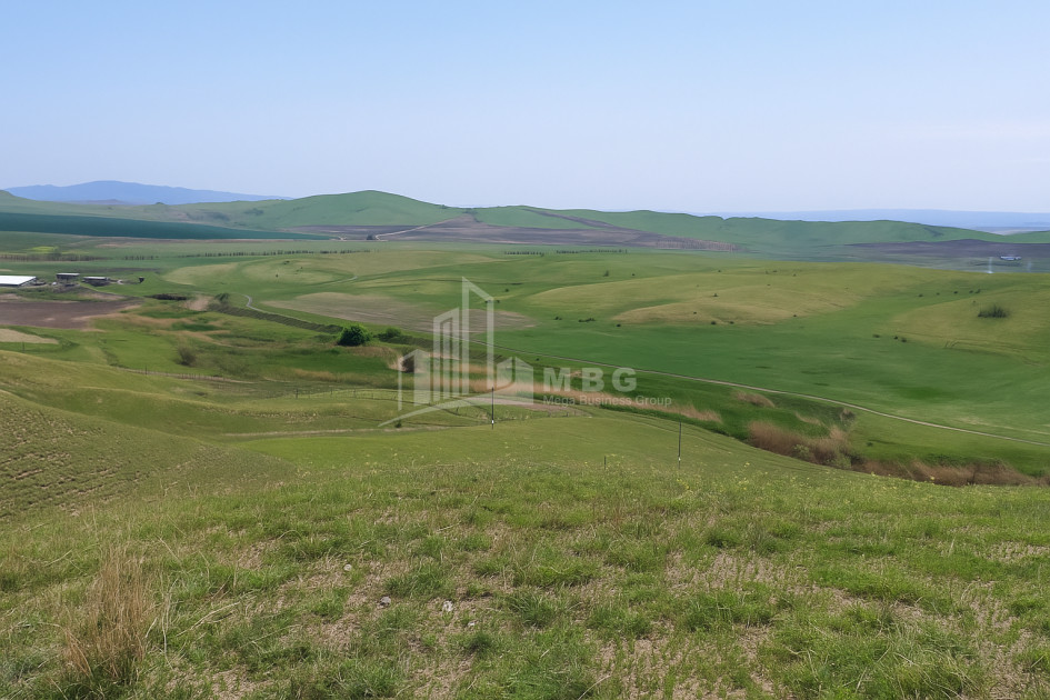 For Sale Land Kvemo Bodbe Signagi Kakheti