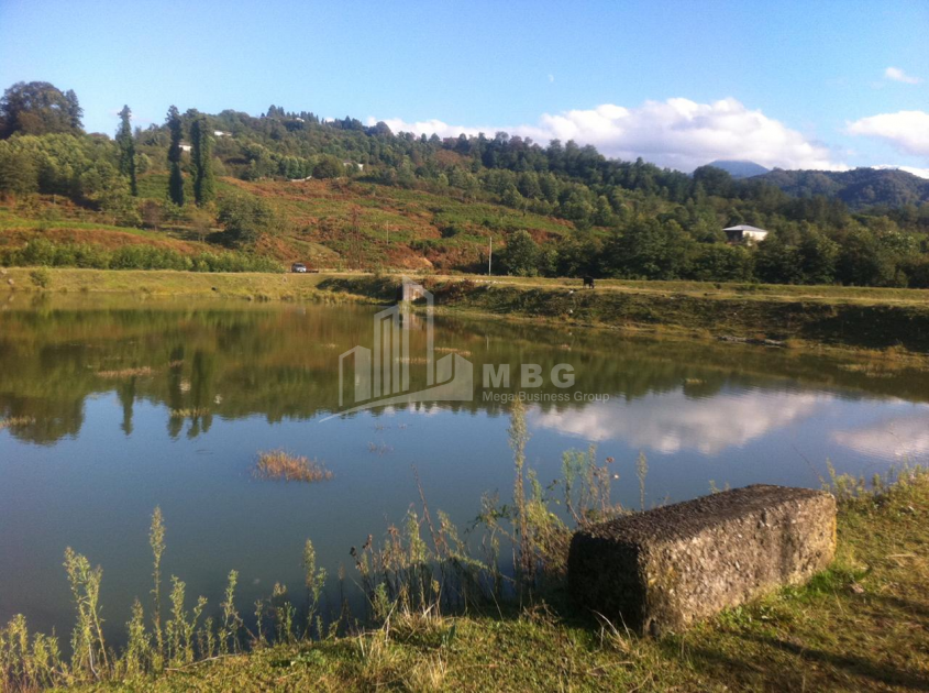 For Sale Land, Zeda Bakhvi, Ozurgeti Municipality, Municipalities of Guria