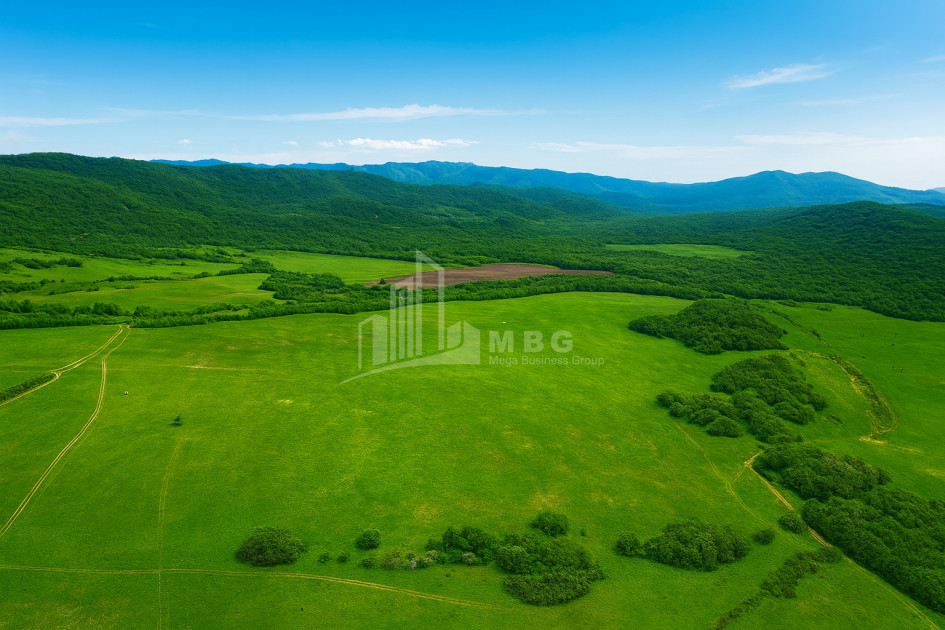 Продается Земля Гомбори Сагареджо Кахети