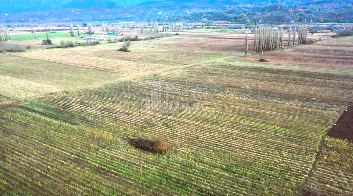 For Sale Land Vani Imereti