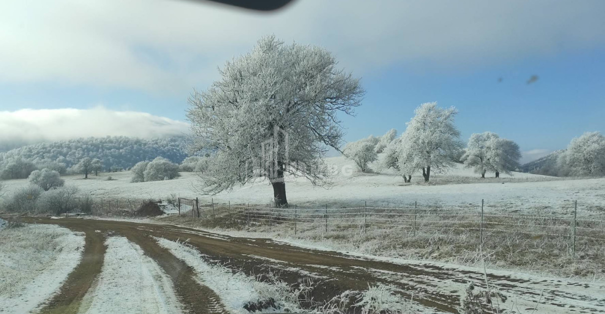 For Sale Land Zemo Gostibe Kaspi Shida Kartli