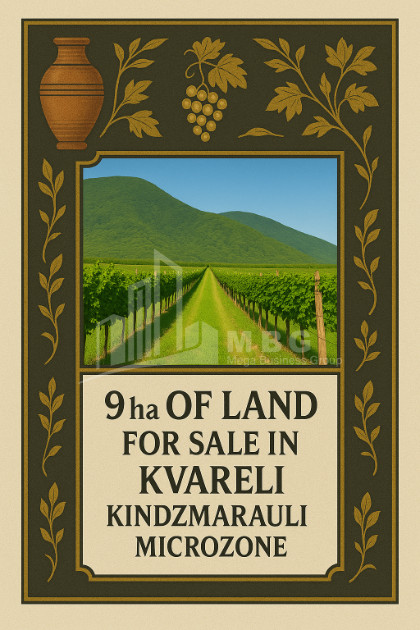 For Sale Land Kvareli Kakheti