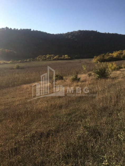 For Sale Vineyard - Chateau Land, in Matani