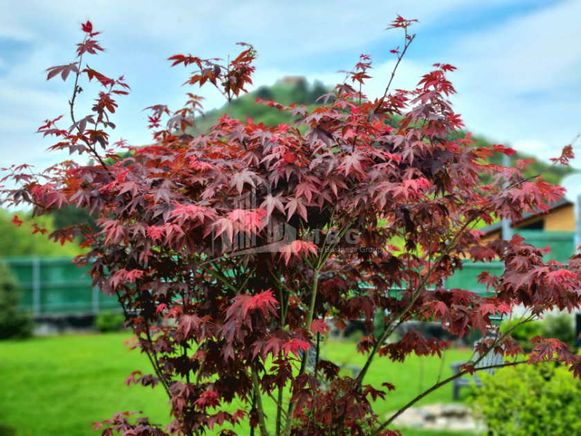Продается Дом - Вилла В Коджори, Мтацминда Район
