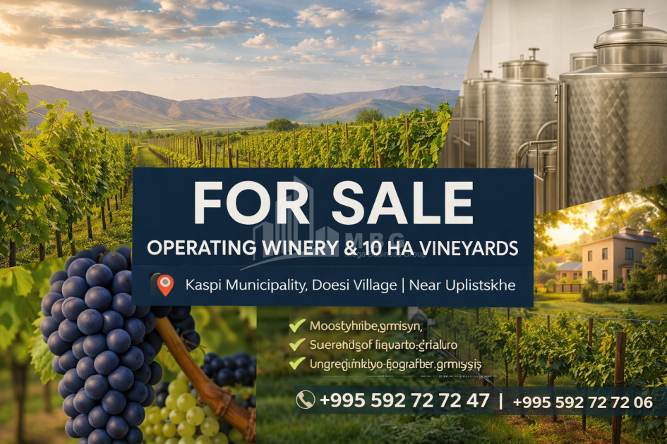 იყიდება კომერციული ფართი დოესი კასპი შიდა ქართლი