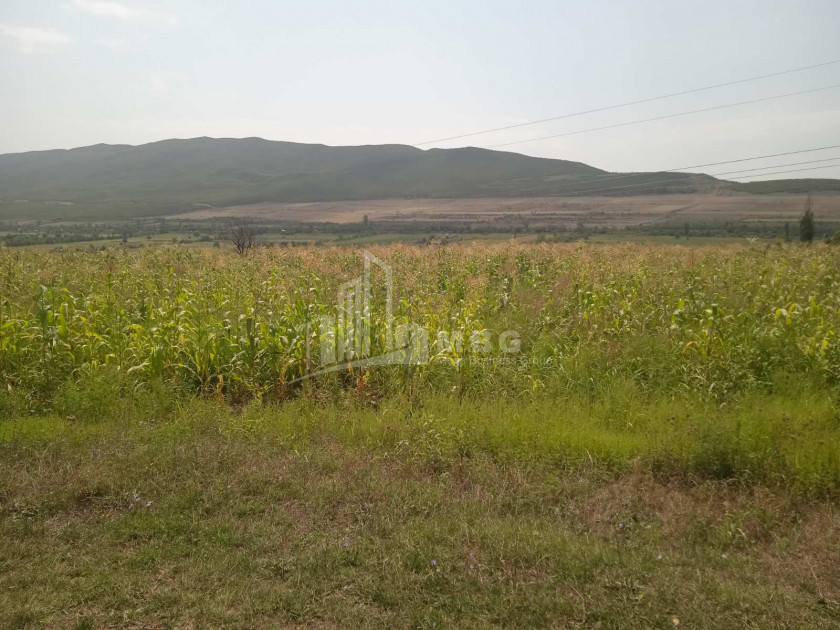 For Sale Orchards Land, in Okami
