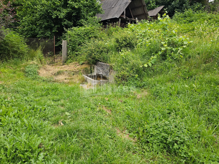 For Sale House Villa Kvibisi Borjomi Samtskhe   Javakheti