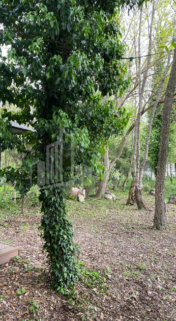 იყიდება ბიზნესი კომერციული ფართი თელავი კახეთი