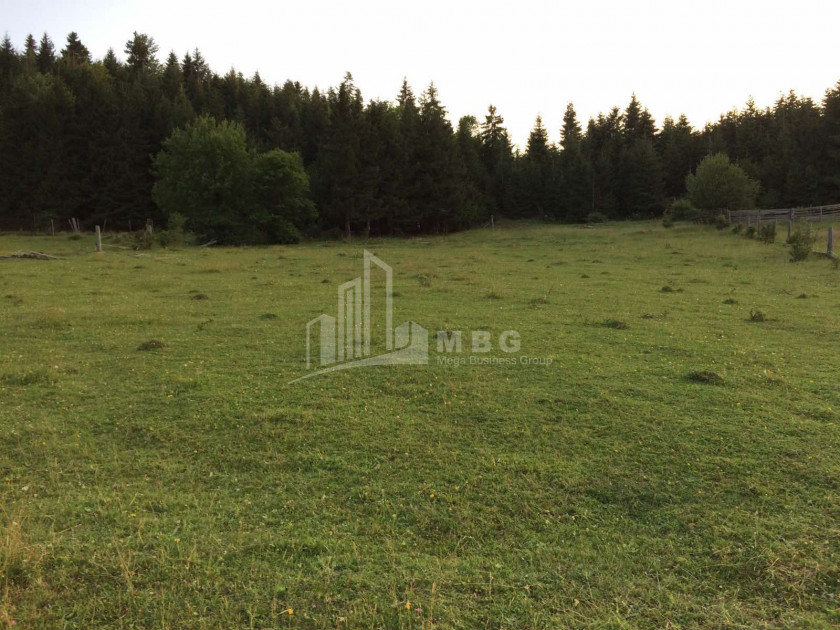 იყიდება სააგარაკე მიწის ნაკვეთი, მზეთამზე