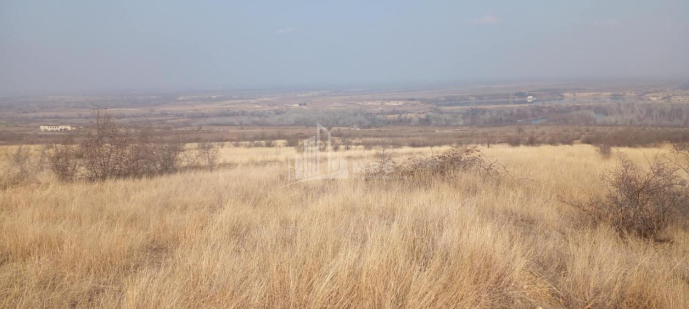 For Sale Land Samtatskaro Dedoplistskaro Kakheti