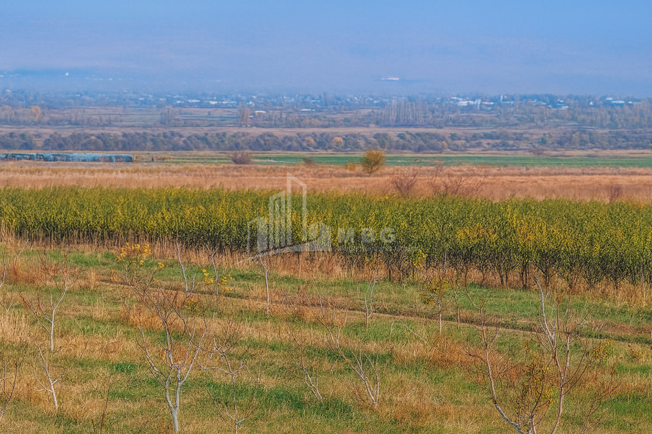 იყიდება მიწის ნაკვეთი სოფელი შაუმიანი მარნეული ქვემო ქართლი