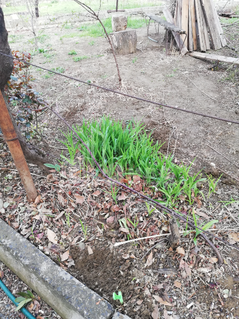 For Sale House - Villa, in Village Dighomi