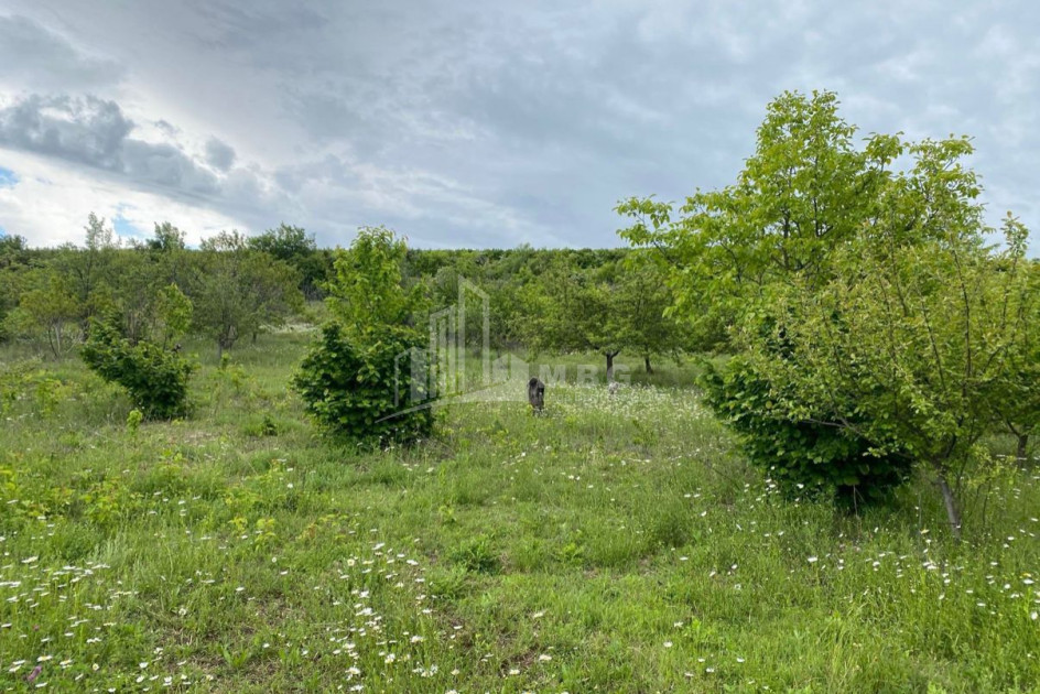 For Sale Country Land In Lamiskana, Kaspi