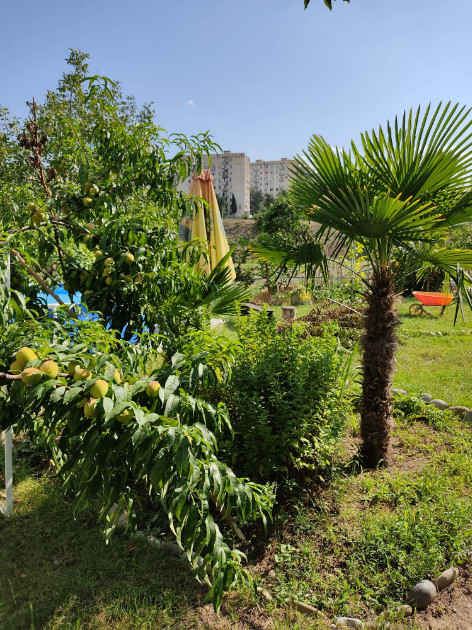 იყიდება სამოსახლო მიწის ნაკვეთი, მუხიანის დაჩები