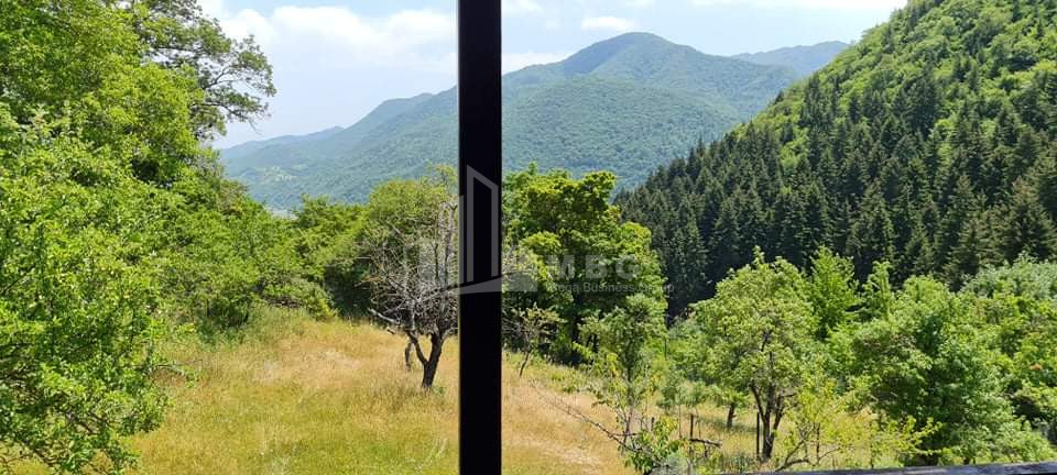 For Sale House - Villa, in Kvishkheti