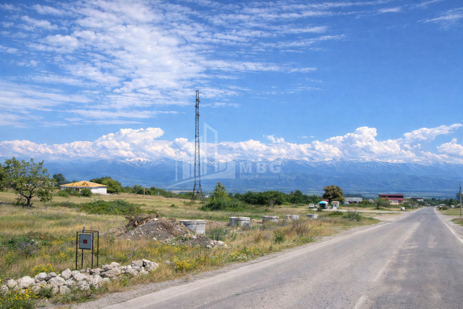 For Sale Land Telavi Kakheti