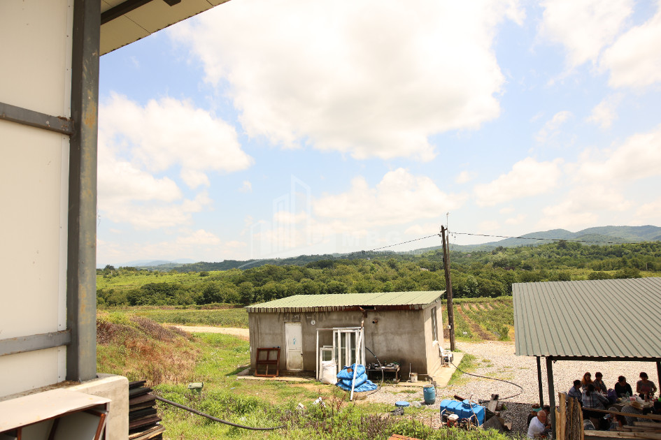 For Sale Orchards Land In Senaki