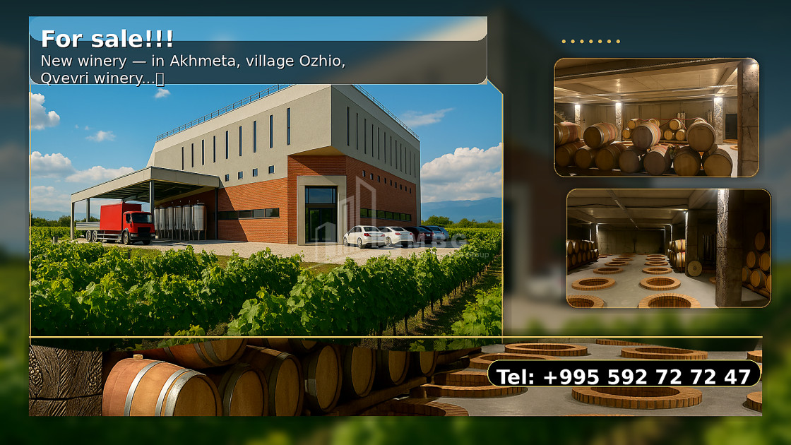 For Sale Commercial Ojio Akhmeta Kakheti