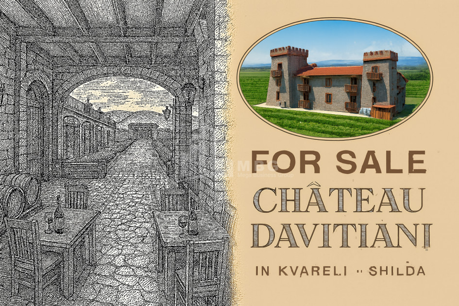 For Sale Commercial Kvareli City Kvareli Kakheti
