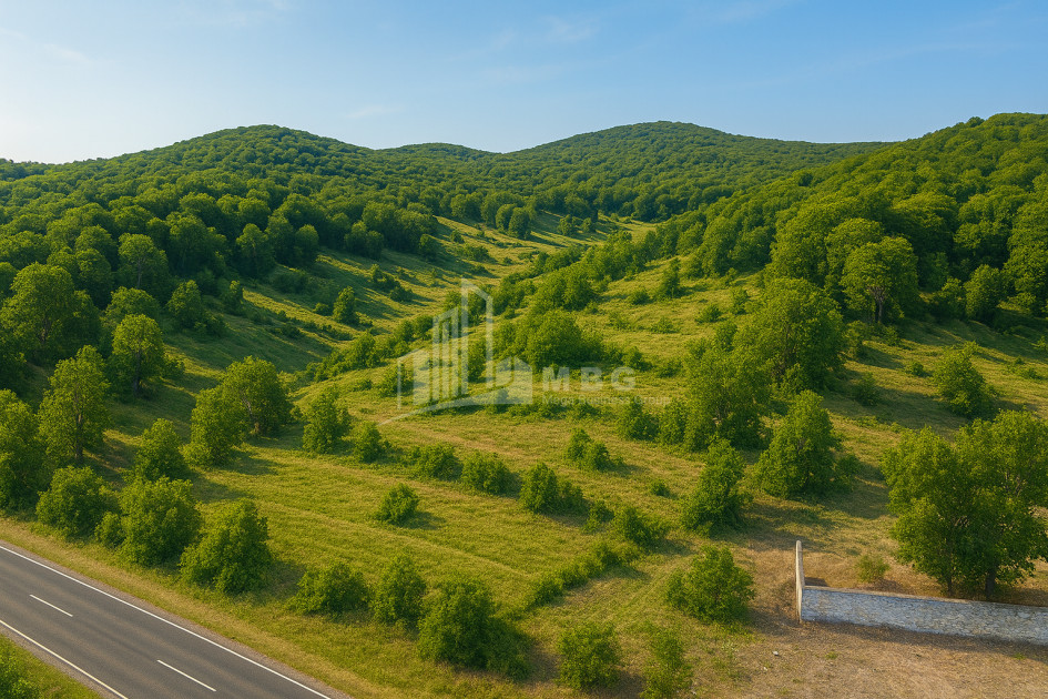For Sale Land Cheremi Gurjaani Kakheti