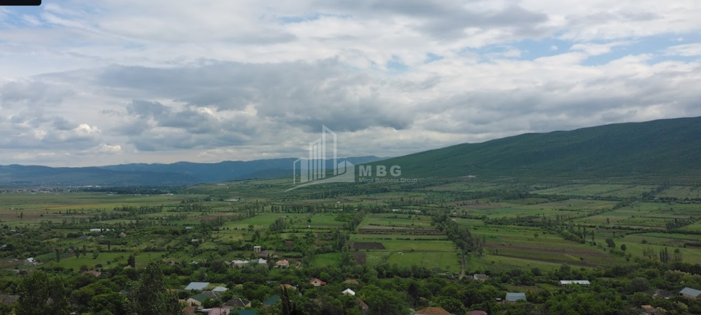 For Sale Land Okami Kaspi Shida Kartli