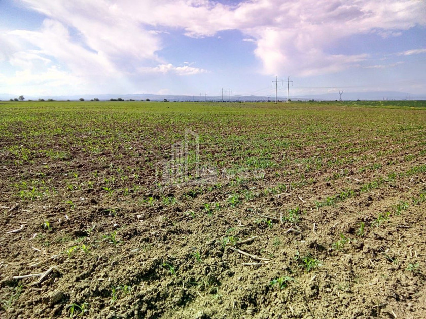 Продается Земля Марнеули Квемо Картли