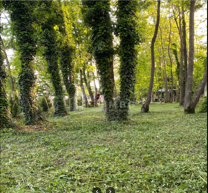 იყიდება ბიზნესი კომერციული ფართი თელავი კახეთი