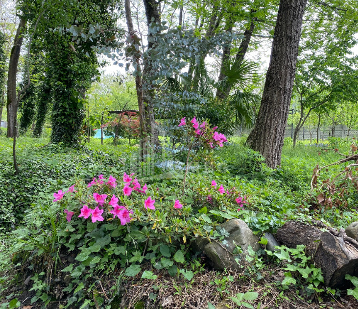 იყიდება ბიზნესი კომერციული ფართი თელავი კახეთი