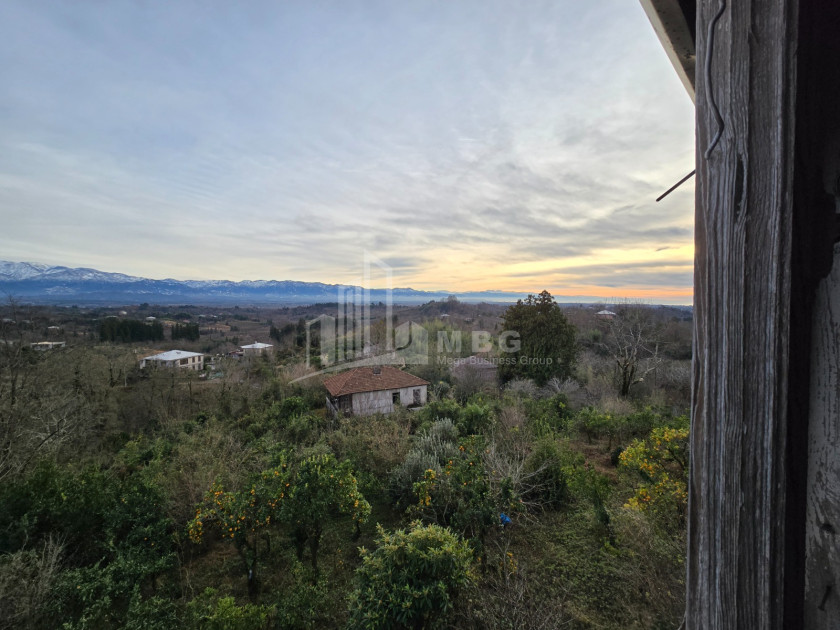 იყიდება ძველი აშენებული სახლი - აგარაკი ზემო ნატანებში, ოზურგეთი