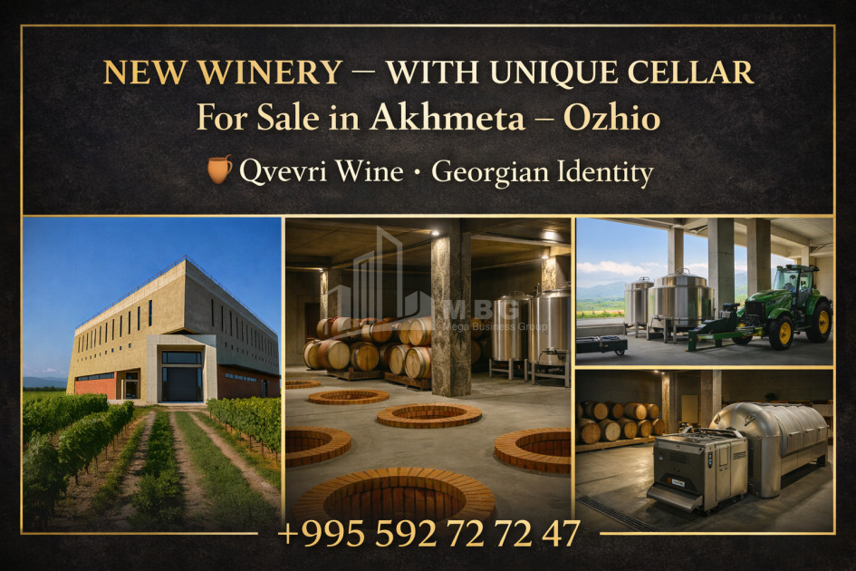 For Sale Commercial Ojio Akhmeta Kakheti