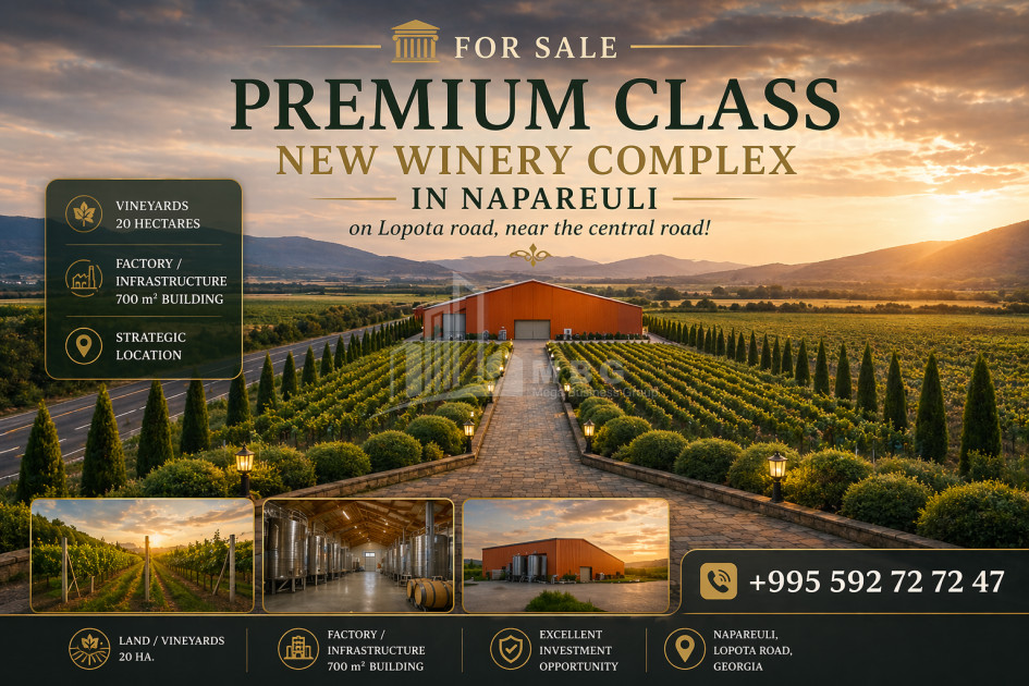 For Sale Vineyard - Chateau Land In Napareuli, Telavi