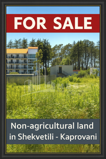 For Sale Land Daba Shekvetili Ozurgeti Municipalities of Guria