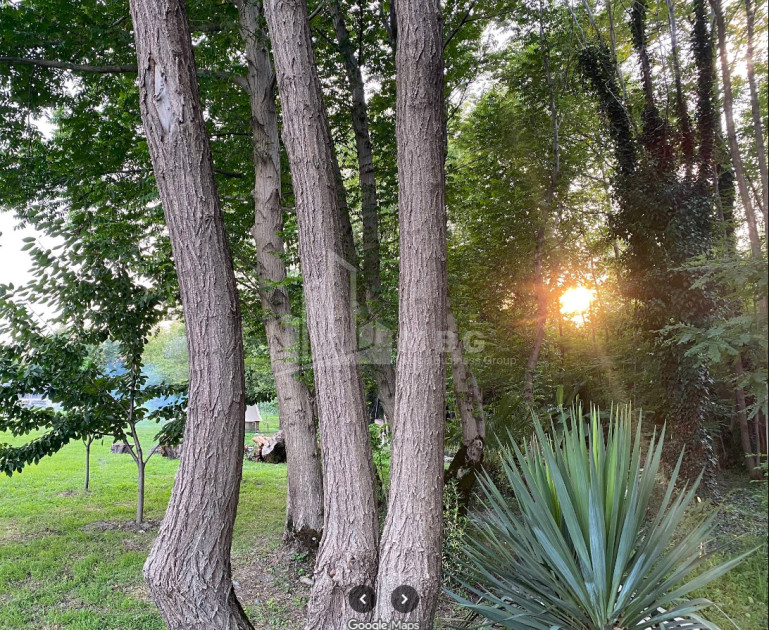 იყიდება ბიზნესი კომერციული ფართი თელავი კახეთი