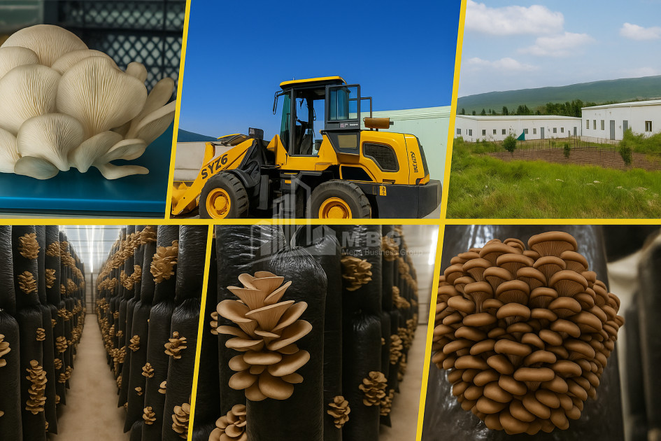 For Sale Commercial Okami Kaspi Shida Kartli