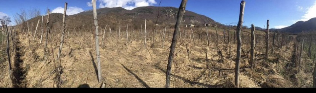 For Sale Land Kvatskhuti Ambrolauri Racha   Lechxumi Kvemo Svaneti